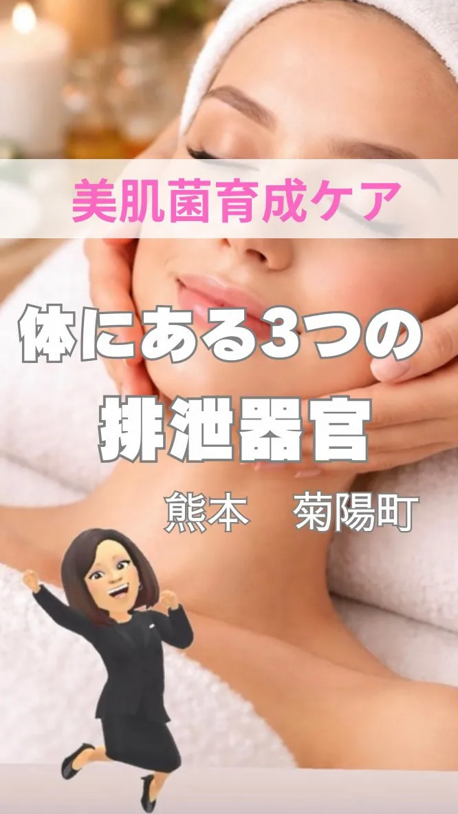 ＼体にある三つの排泄器官／