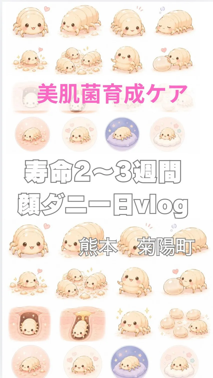 ＼顔ダニの真実／